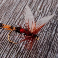 Dragon Dry Fly 1