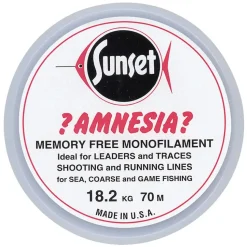 Sunset Amnesia