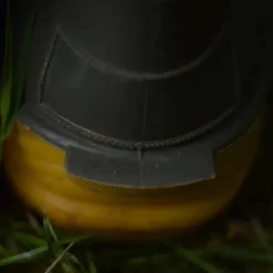 Vass R Boot